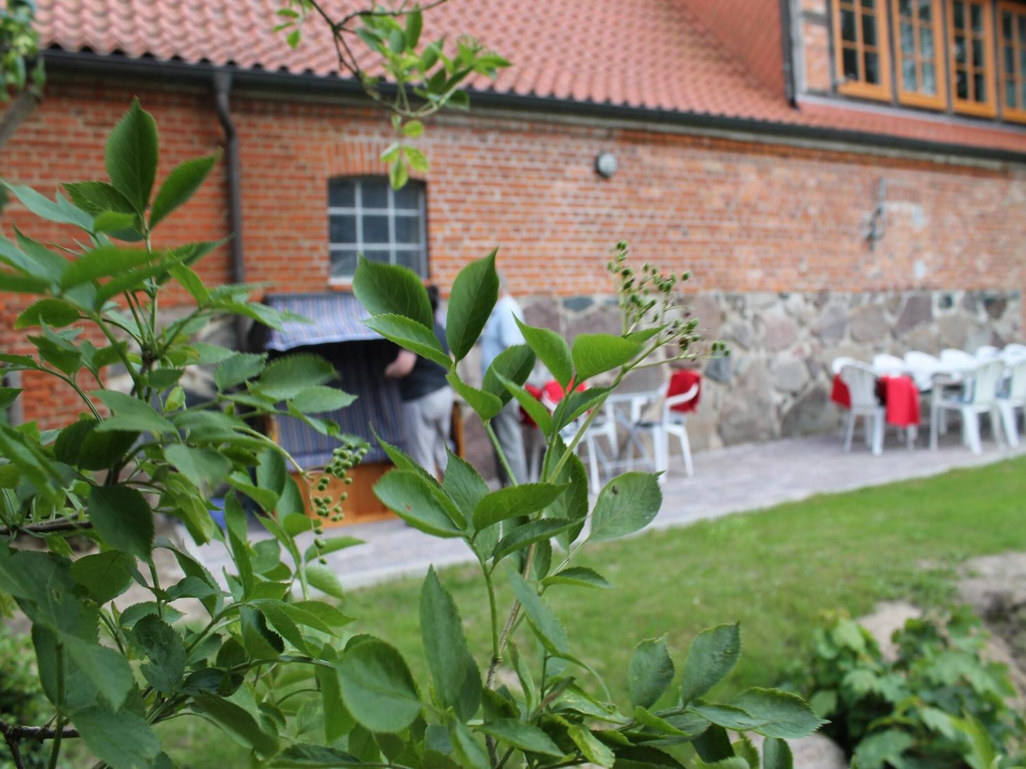 Mansion In Gressow With Terrace Garden Bbq Pond Bicycles Villa Eksteriør billede